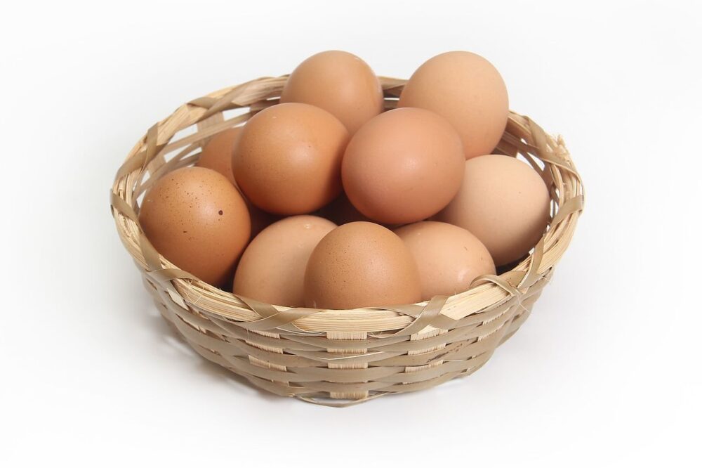 一人暮らし向け栄養豊富でコスパのいい食材卵